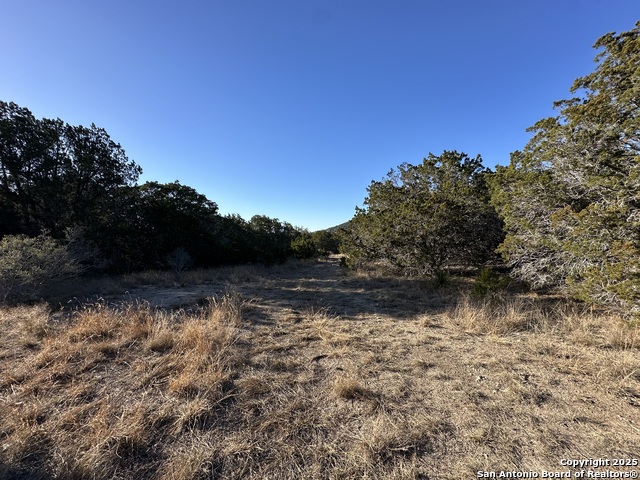 Listing photo id 12 for Lot 96 Black Jack Hollow
