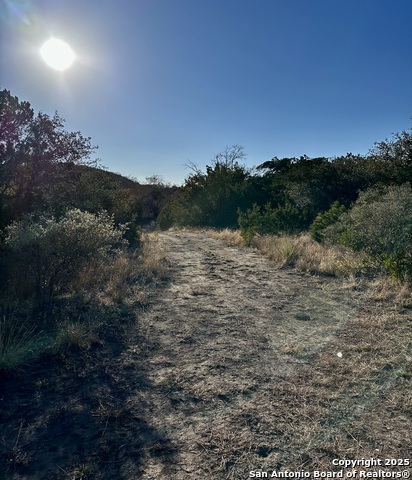 Listing photo id 14 for Lot 96 Black Jack Hollow