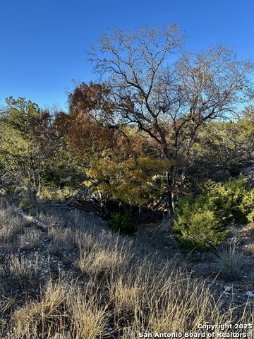 Listing photo id 16 for Lot 96 Black Jack Hollow