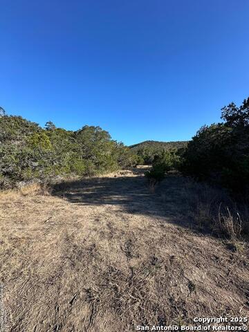 Listing photo id 11 for Lot 96 Black Jack Hollow