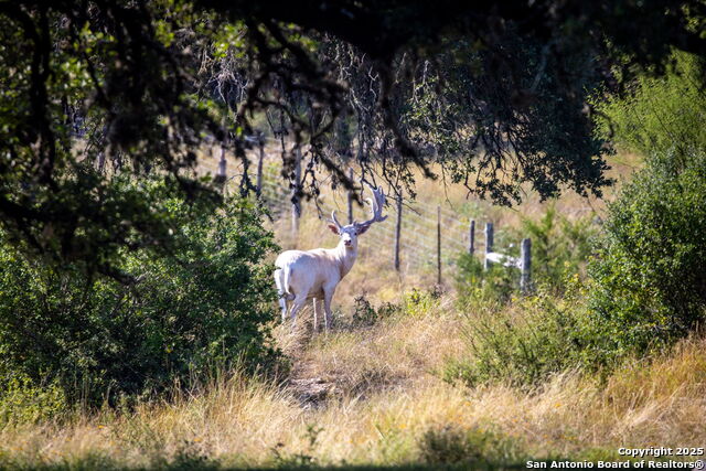 Image 48 of 52 For 1020 Comanche Ridge