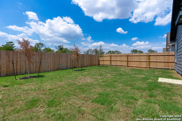 Image 24 of 31 For 4210 Artesian Belt