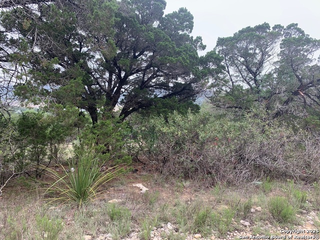 Details for 314 E.bandera, Boerne, TX 78006