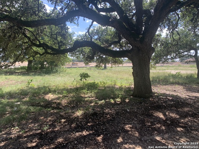 Image 2 of 9 For 314 E.bandera