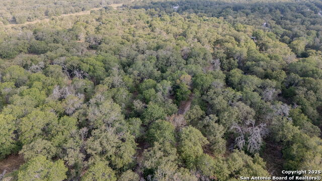 Image 4 of 13 For 3 Acres 337 Sandy Oaks