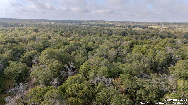 Image 7 of 13 For 3 Acres 337 Sandy Oaks