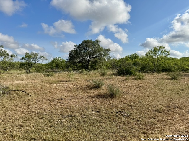 Listing photo id 13 for Tbd Cr 252  