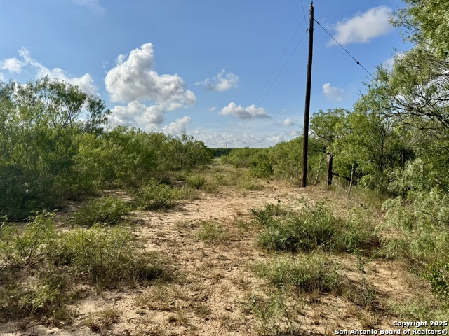 Listing photo id 20 for Tbd Cr 252  