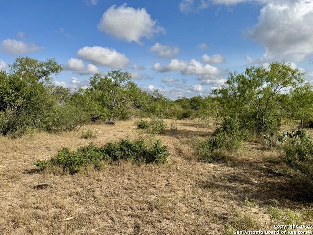 Listing photo id 23 for Tbd Cr 252  