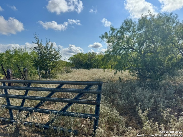 Listing photo id 36 for Tbd Cr 252  