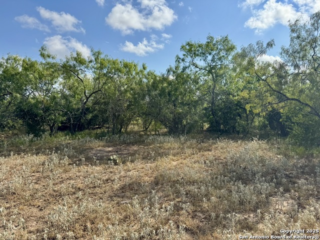 Listing photo id 38 for Tbd Cr 252  