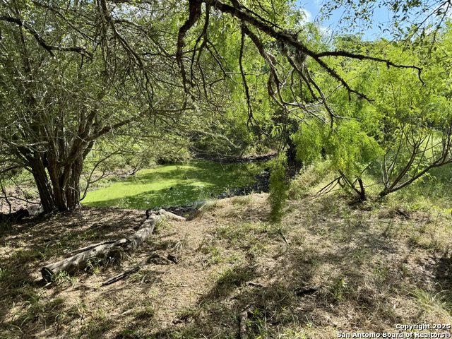 Listing photo id 45 for Tbd Cr 252  