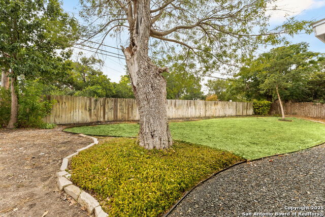 Listing photo id 21 for 446 Forrest Hill