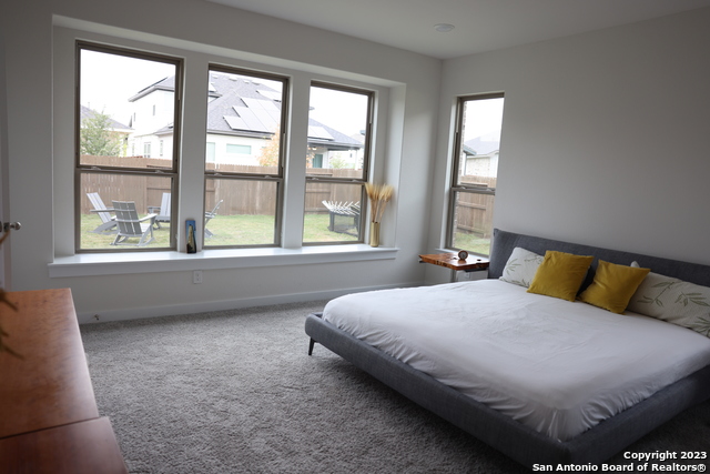 Image 20 of 33 For 8711 Bronc Dust