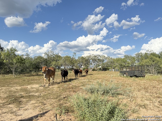 Listing photo id 11 for 421 Zion Hill