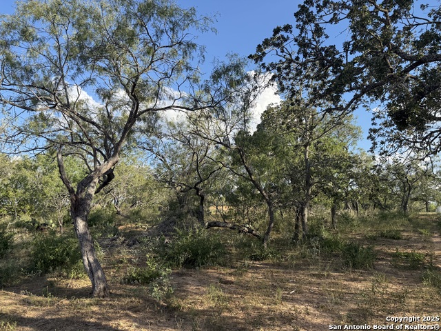 Listing photo id 1 for 421 Zion Hill