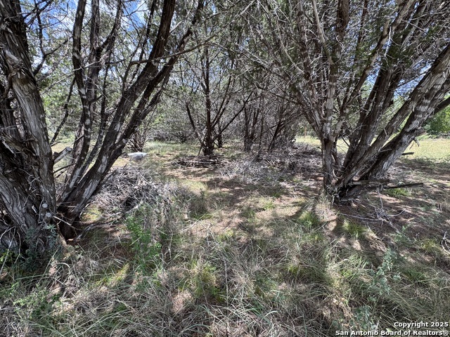 Image 4 of 16 For 0 Nacona Dr