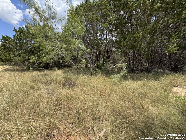 Image 6 of 16 For 0 Nacona Dr