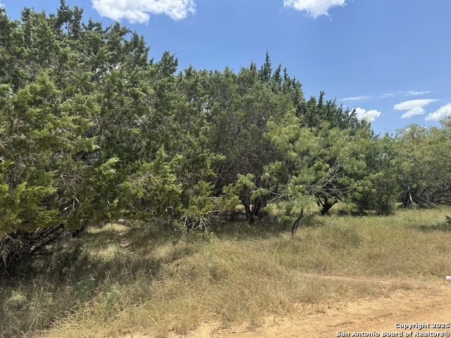 Image 8 of 16 For 0 Nacona Dr