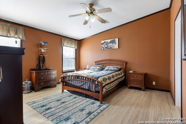 Image 10 of 31 For 23055 Trumbo