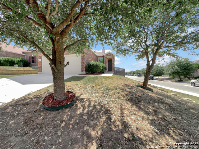 Listing photo id 13 for 8403 Brazos