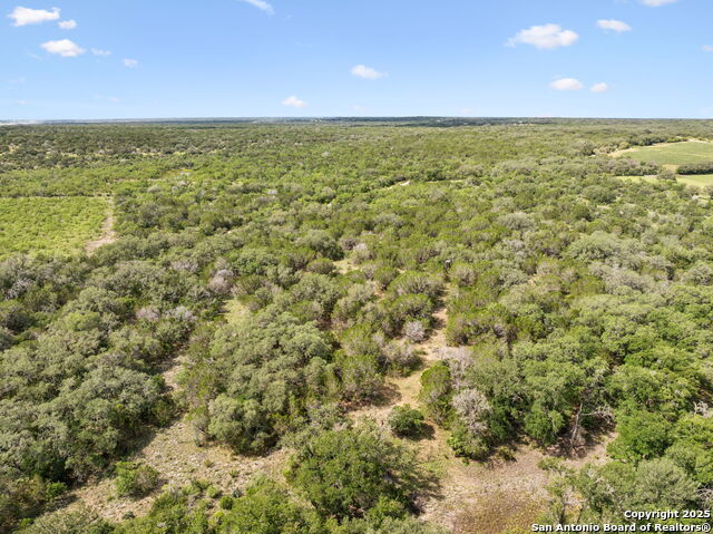 Image 10 of 13 For 547 County Road 3401