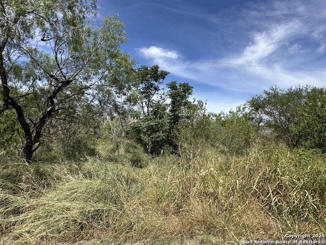 Image 2 of 12 For 000 Cr 163