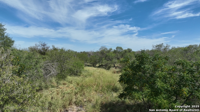 Image 6 of 12 For 000 Cr 163