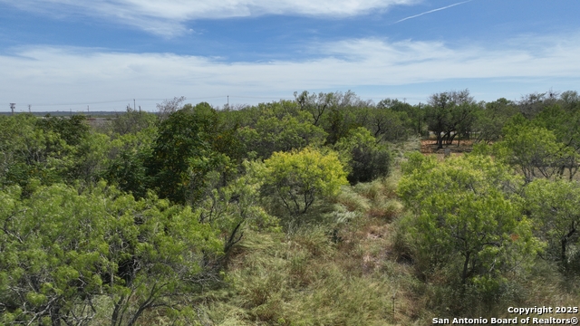 Image 8 of 12 For 000 Cr 163