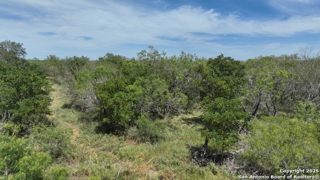 Image 9 of 12 For 000 Cr 163