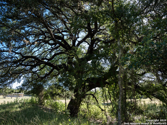 Listing photo id 9 for 530 Westway Dr