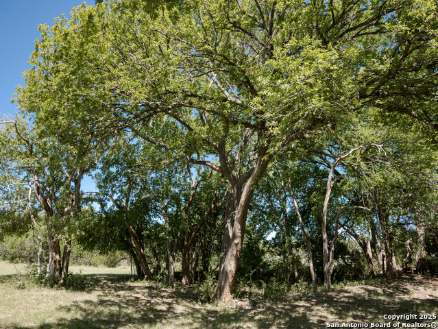 Listing photo id 13 for 530 Westway Dr