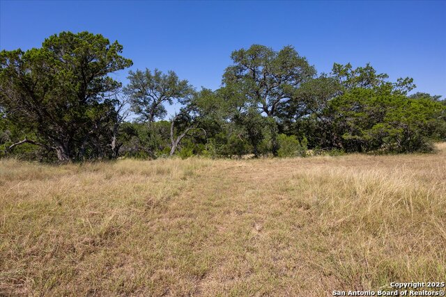 Image 11 of 36 For Lot 98 Sabinas Ridge