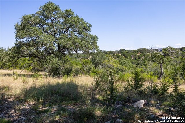 Image 18 of 36 For Lot 98 Sabinas Ridge