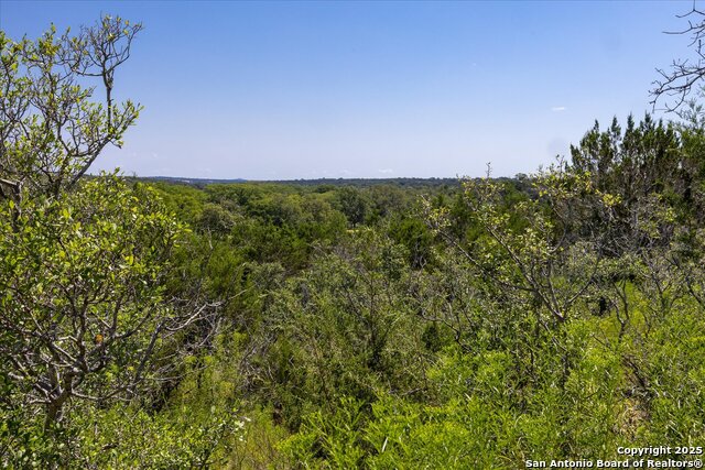 Image 19 of 36 For Lot 98 Sabinas Ridge