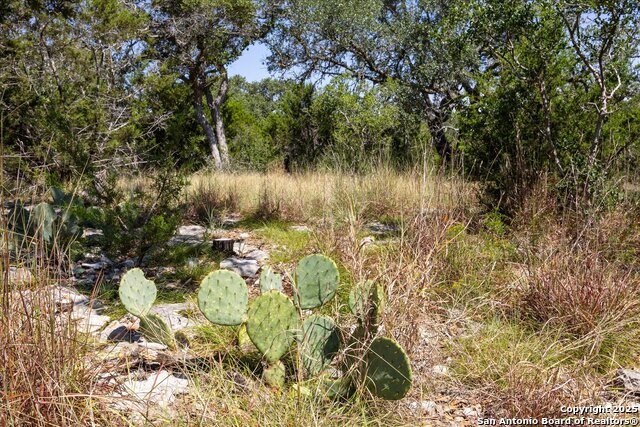 Image 21 of 36 For Lot 98 Sabinas Ridge