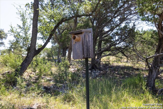 Image 26 of 36 For Lot 98 Sabinas Ridge