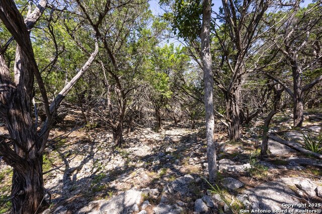 Image 28 of 36 For Lot 98 Sabinas Ridge