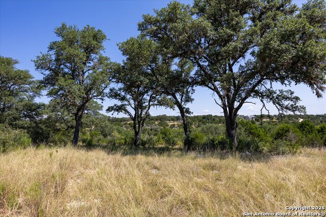 Image 5 of 36 For Lot 98 Sabinas Ridge