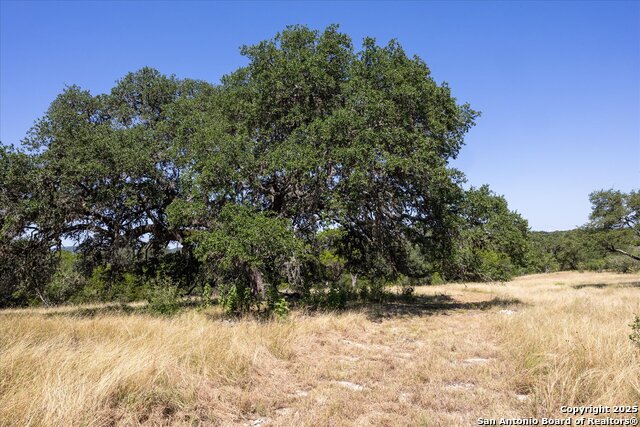 Image 6 of 36 For Lot 98 Sabinas Ridge