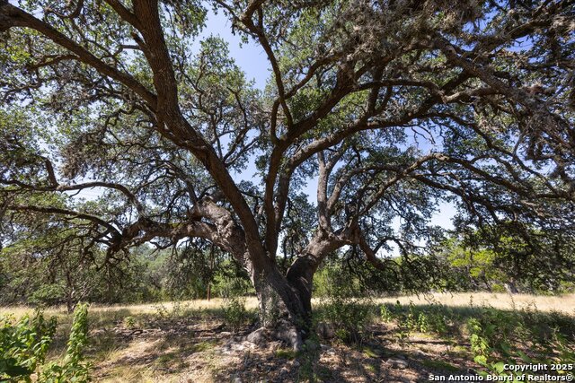 Image 7 of 36 For Lot 98 Sabinas Ridge