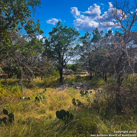 Listing photo id 0 for 163 Angus  