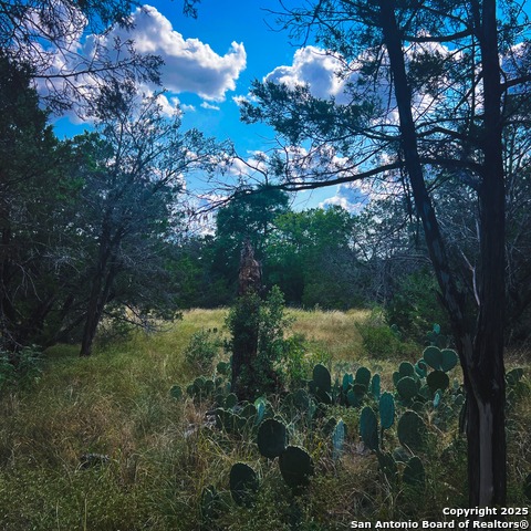 Listing photo id 1 for 163 Angus  