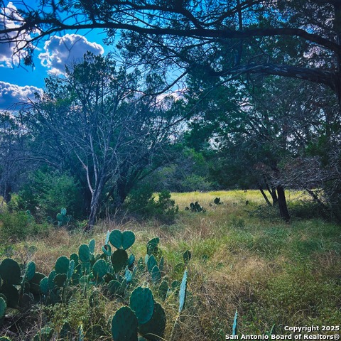 Listing photo id 2 for 163 Angus  