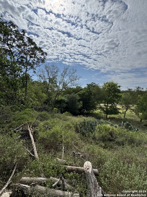 Image 12 of 16 For 510 Cypress  