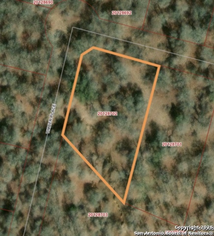 Details for 216 Timber Place, La Vernia, TX 78121