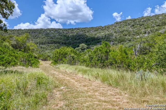 Image 18 of 57 For 2242 Patterson Creek