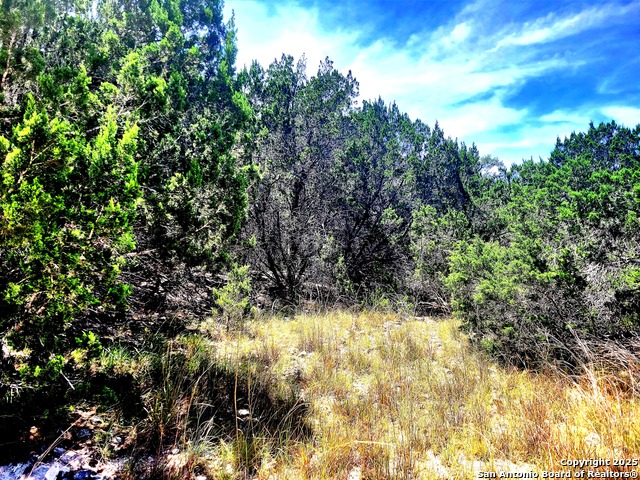 Details for 1680 Stallion Springs Dr, Fischer, TX 78623