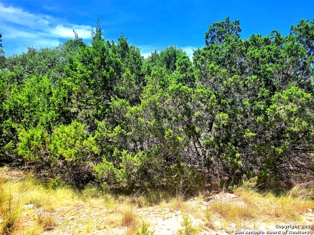 Listing photo id 1 for 1680 Stallion Springs Dr