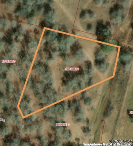 Details for 245 Timber Place, La Vernia, TX 78121